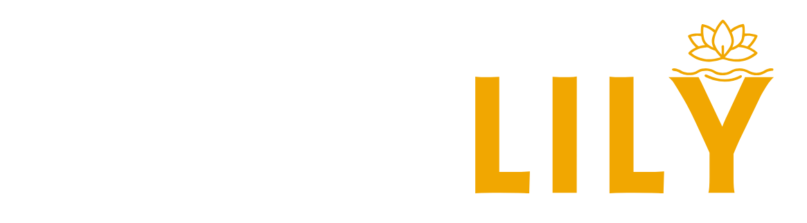 wishlily.com