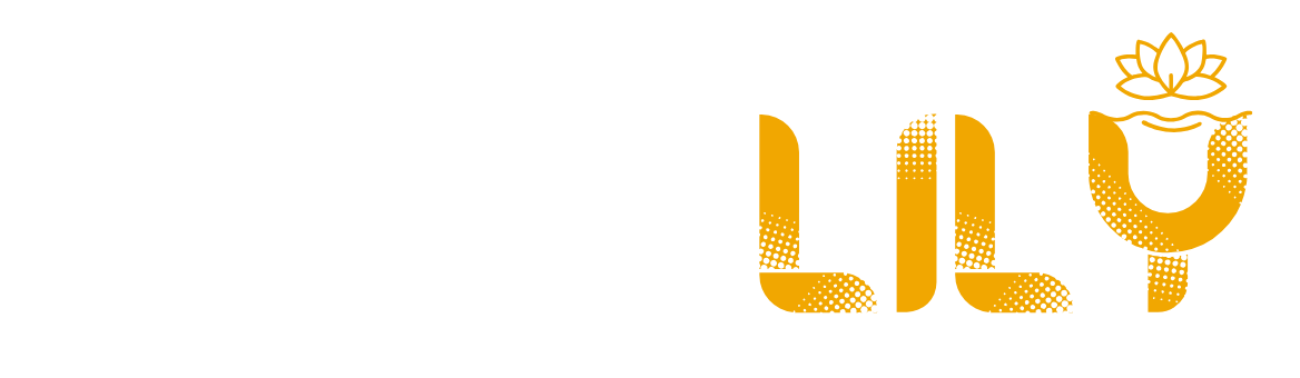 wishlily.com