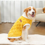 Pet Autumn Winter Cotton Clothes - Image 6