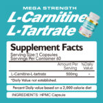 L-Carnitine L-Tartrate Capsules - Image 4