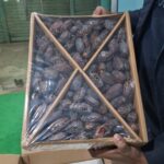 Medjool Dates – Premium Quality