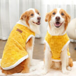 Pet Autumn Winter Cotton Clothes - Image 7